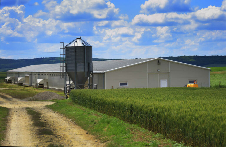 Why Choose Custom Metal Structures for Agriculture?